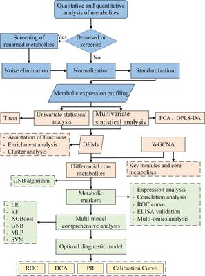 Integrated metabolomics and transcriptomics to reveal biomarkers and mitochondrial metabolic dysregulation of premature ovarian insufficiency